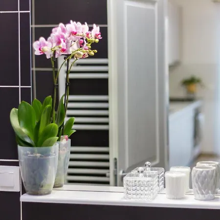 Gold Class Ams Apartment Cluj-Napoca