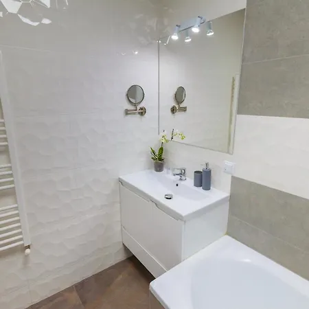 Gold Class Ams Apartment Cluj-Napoca