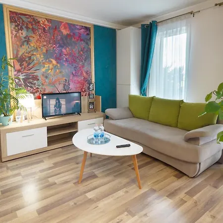 Gold Class Ams Cluj-Napoca