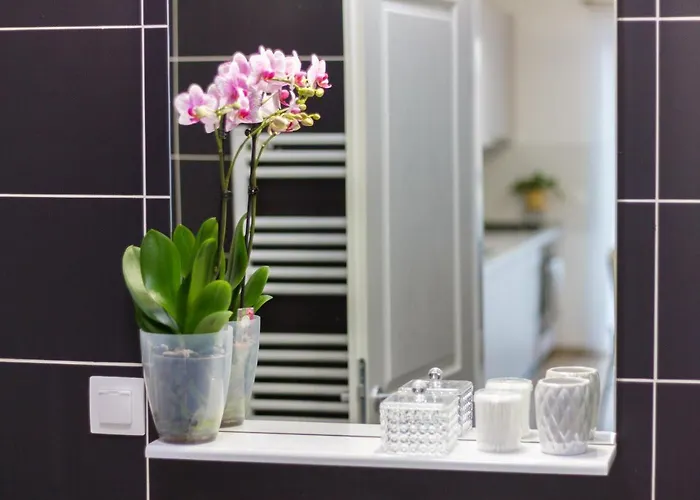 Gold Class Ams Appartement Cluj-Napoca