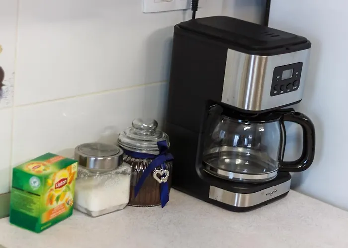 Gold Class Ams * 클루지나포카