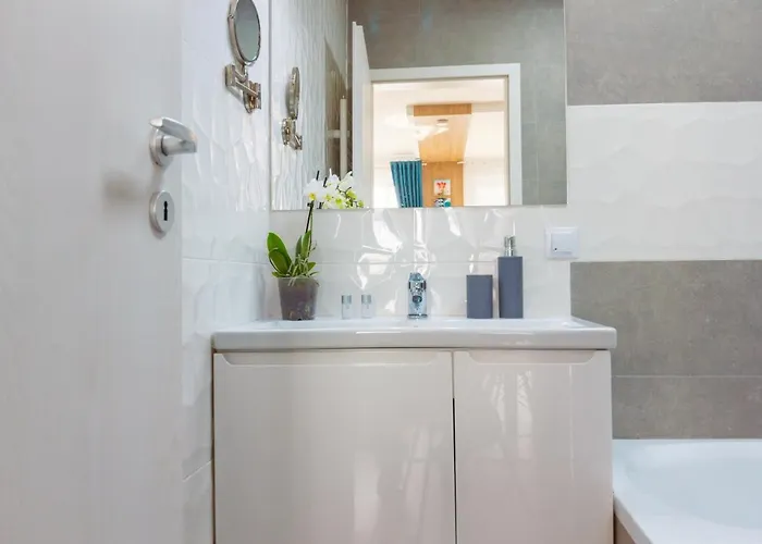 Gold Class Ams 클루지나포카