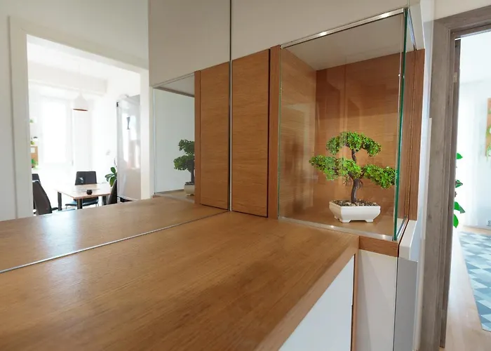 Gold Class Ams Cluj-Napoca